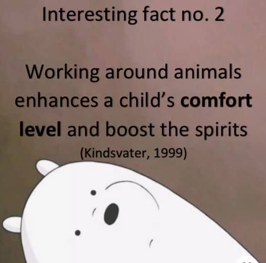 interesting fact 2